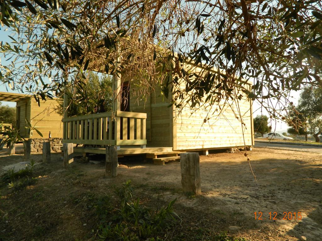 Tajo Del Aguila - Casa Rural A Algar  Phòng bức ảnh